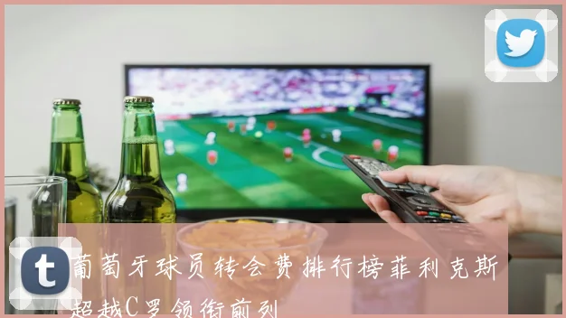 葡萄牙球员转会费排行榜菲利克斯超越C罗领衔前列