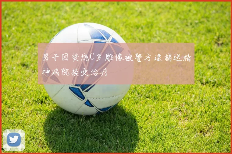 男子因焚烧C罗雕像被警方逮捕送精神病院接受治疗